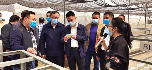 自治區發展改革委定點幫扶都安縣駐村工作隊赴南寧市、百色市開展鄉村振興調研